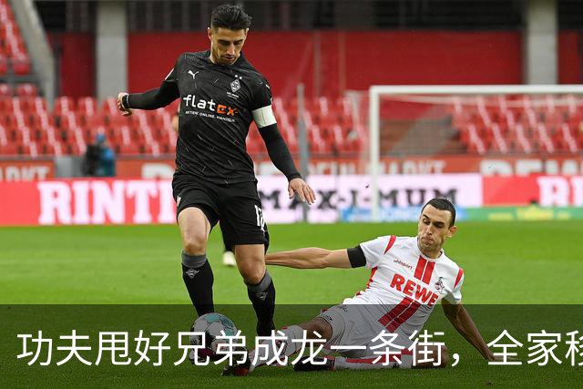 功夫甩好兄弟成龙一条街，全家移民加拿大，儿女比房祖名出息太多